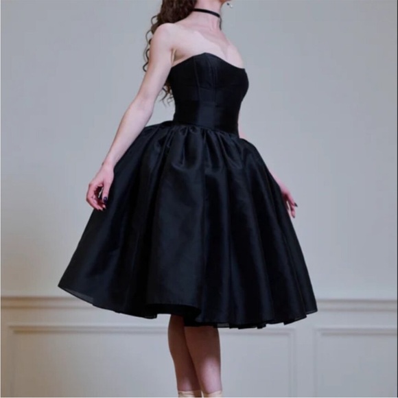 Selkie Black Swan Degas Dress - Strapless Balletcore - Picture 2 of 7